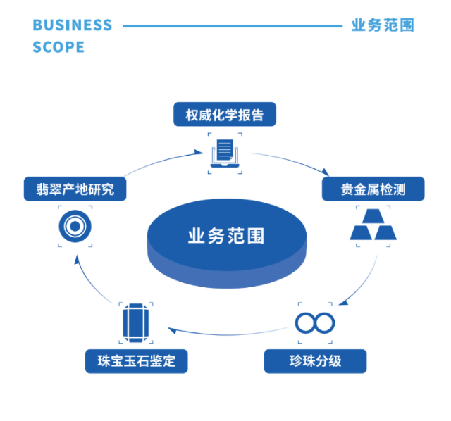 业务范围